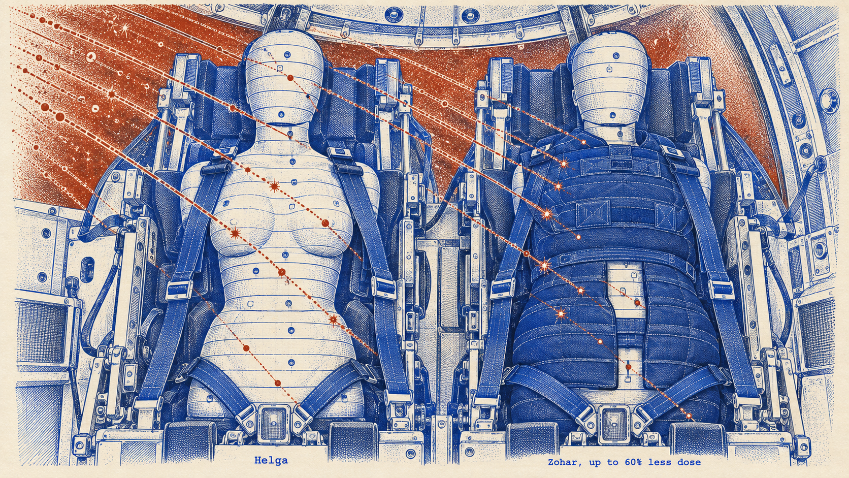 Helga and Zohar, the radiation phantoms that flew around the Moon on Artemis I. The vest cut the modeled dose from a storm like August 1972 by about 60 percent. It does not stop cosmic rays. Drawn after NASA and DLR photographs.