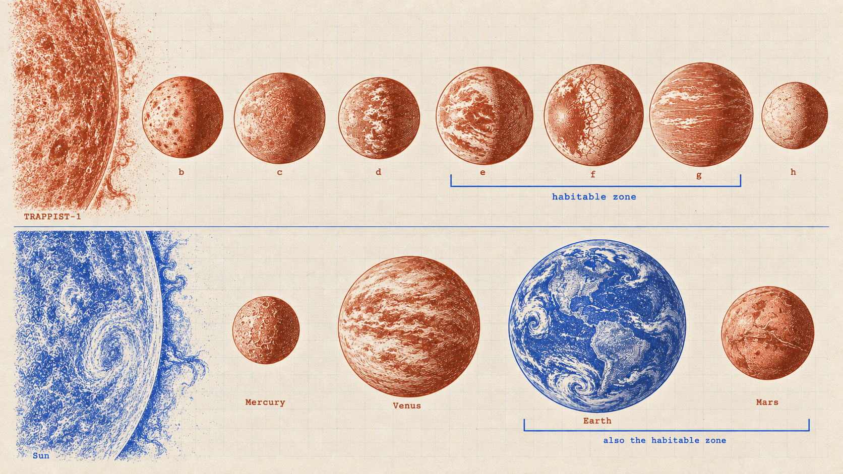 Not to scale. The TRAPPIST-1 planets are imagined, after a NASA/JPL-Caltech artist’s concept. Sitting in the habitable zone does not make a planet habitable.